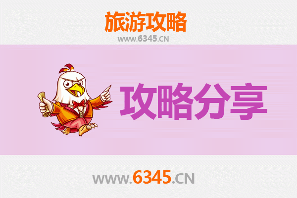 南投旅游攻略：跟团与自由行的深度对比与选择建议